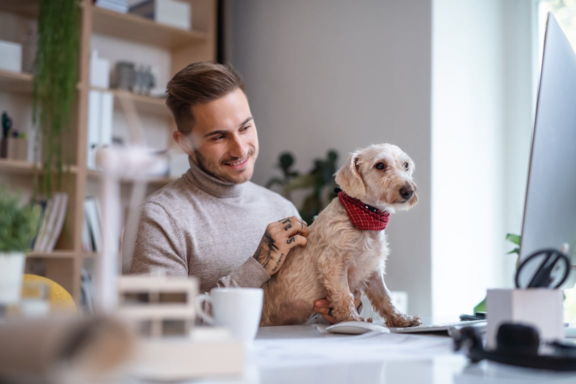 2 Ways to Allow Pets in Your Rental Property